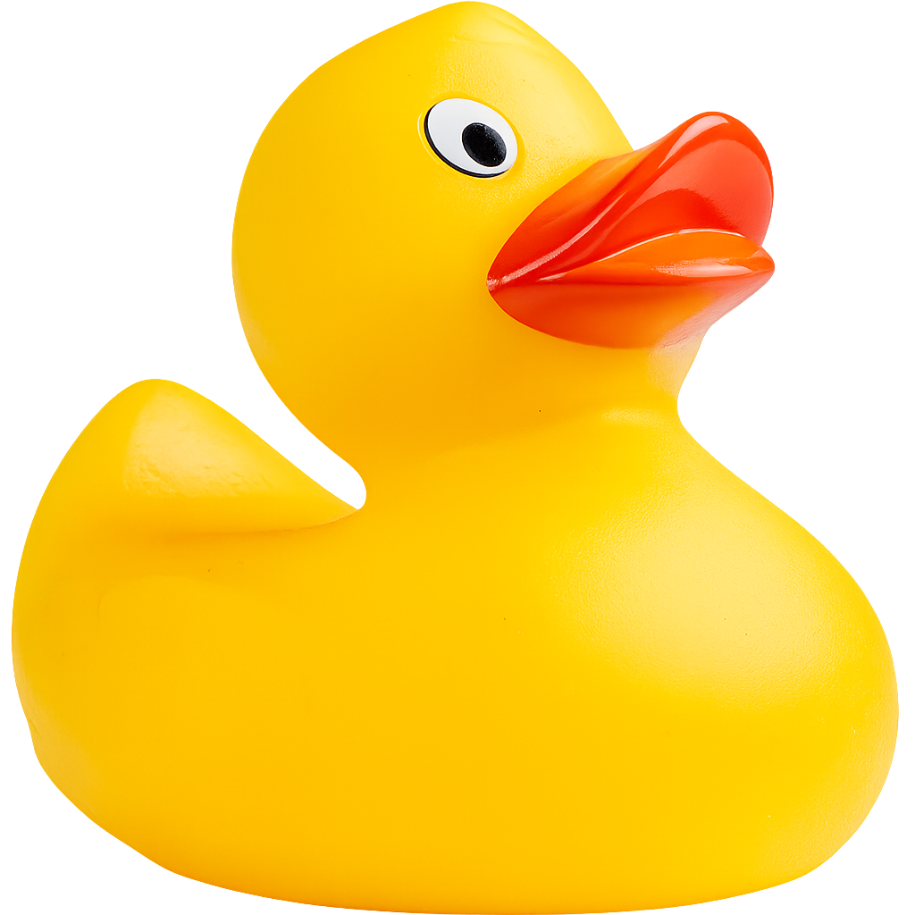 A mysterious duck